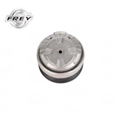 SGS Rubber Automotoronderstel 2202400617 2202403317 voor Mercedes W220 S430 S450